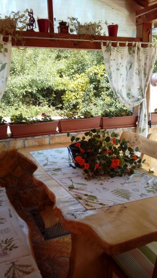 Raj Muraj Ferienappartement Kornić Kültér fotó